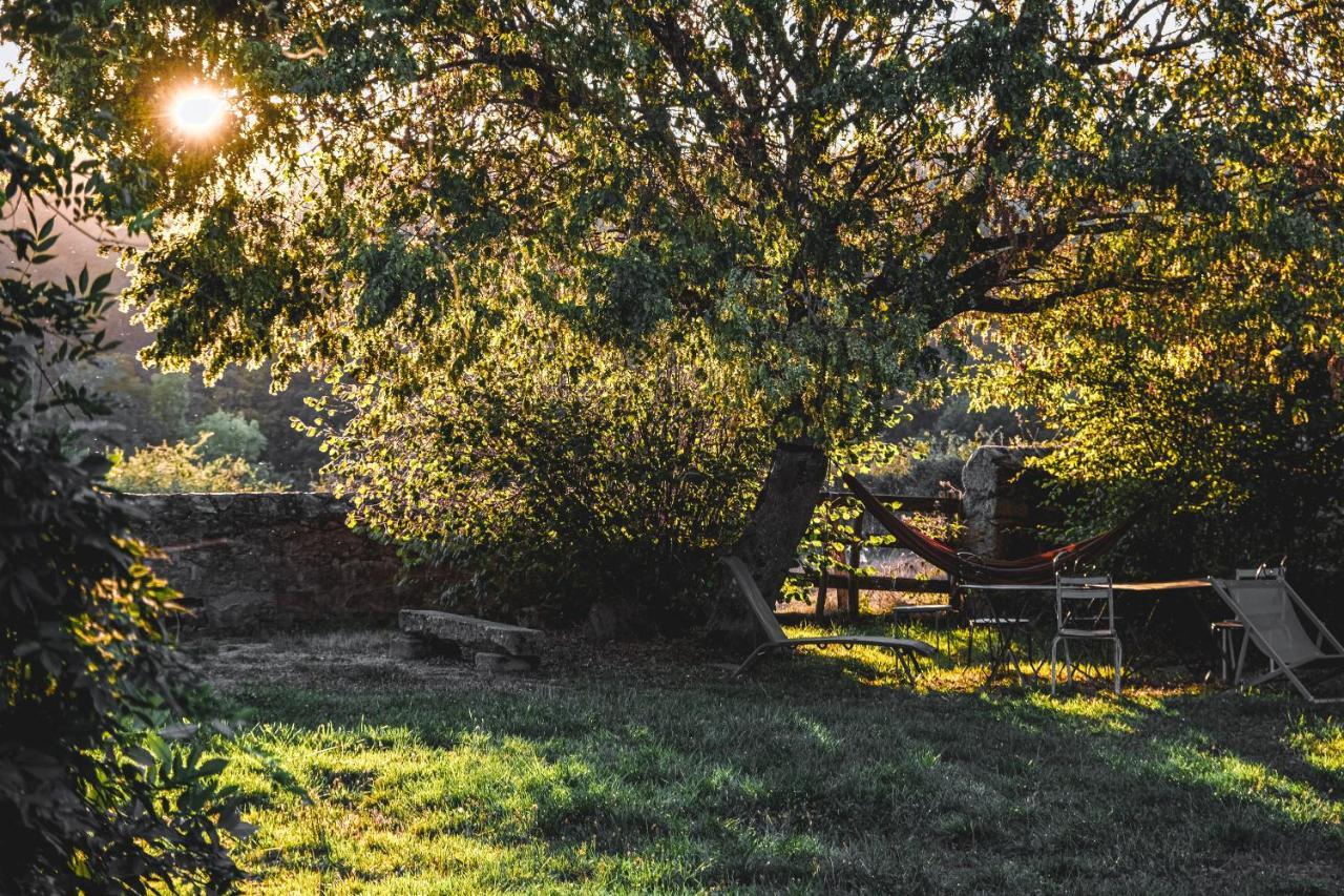 Tiny House Morvan Bourgogne Nature - 2H De Paris Bussieres  ภายนอก รูปภาพ